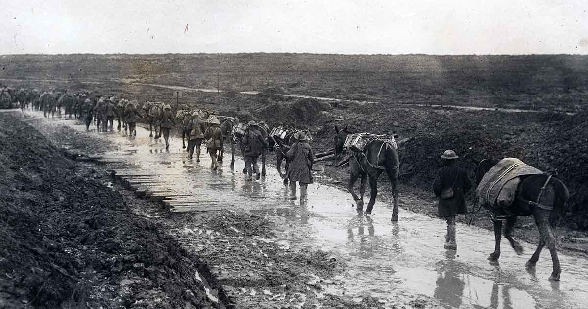 pack mules and men walking