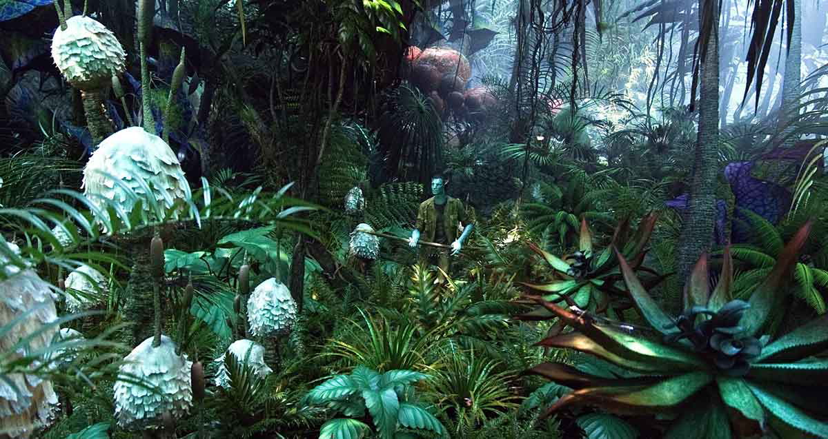 pandora moon plants