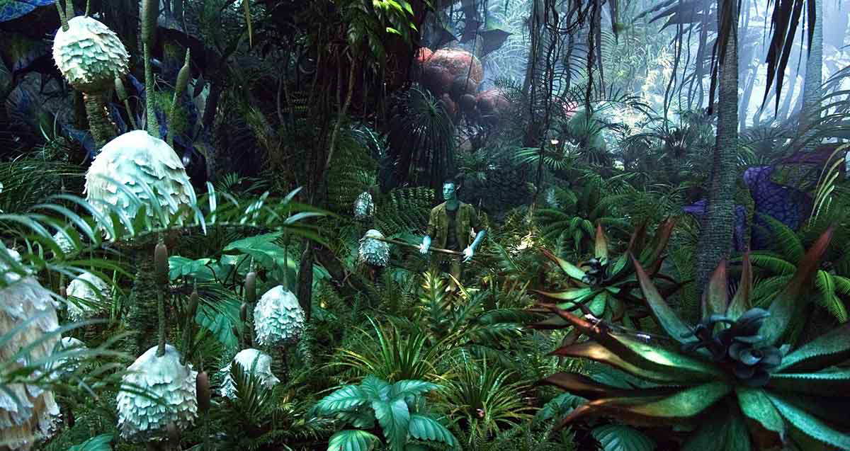 pandora moon plants