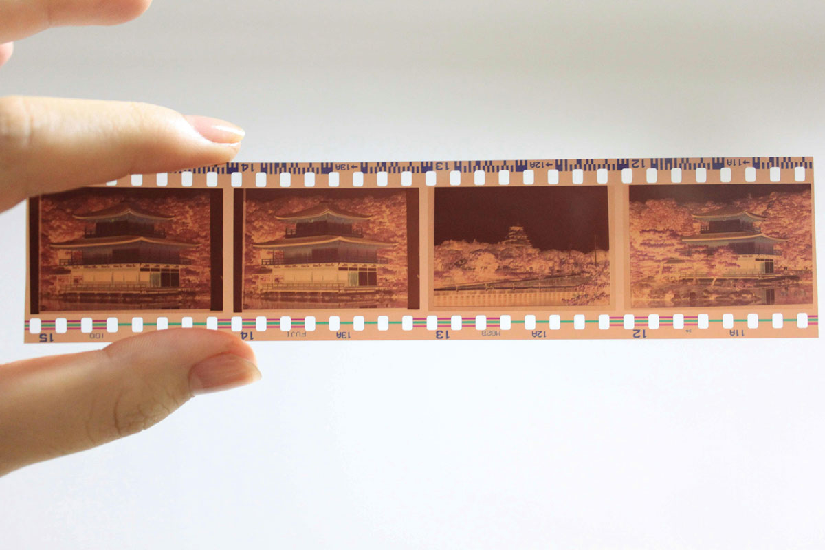 pexels roll of film