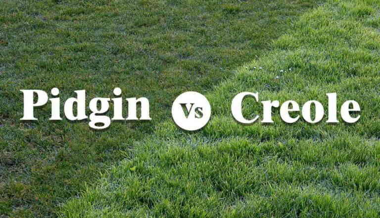 Text "Pidgin vs Creole" over contrasting grass