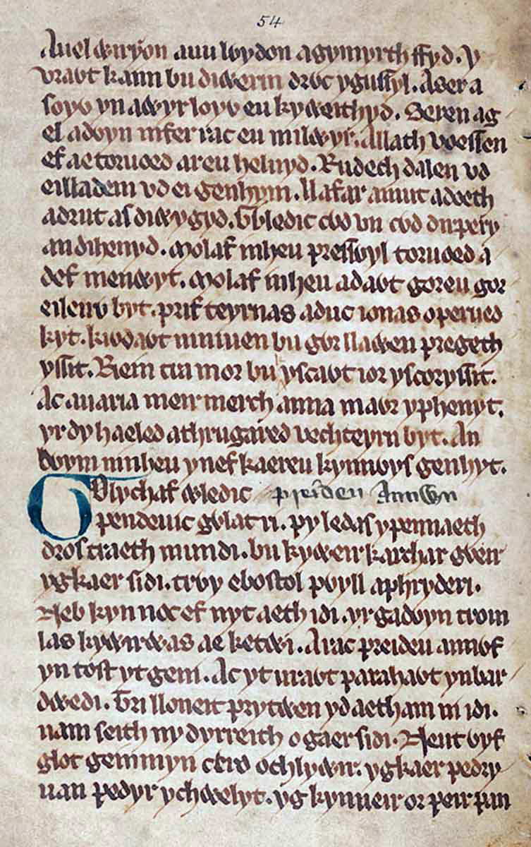 preiddeu annwn ms peniarth 2 folio 25v
