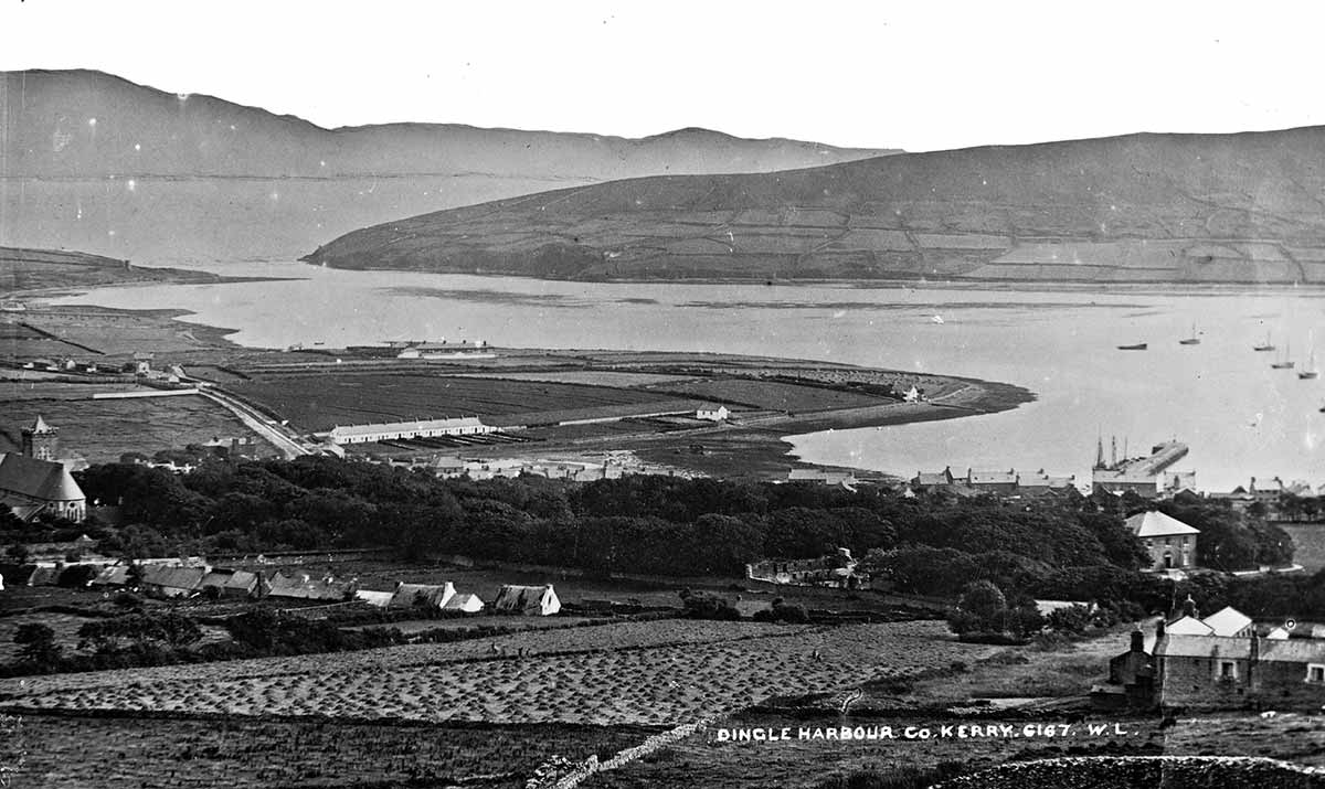 robert french view of dingle harbour