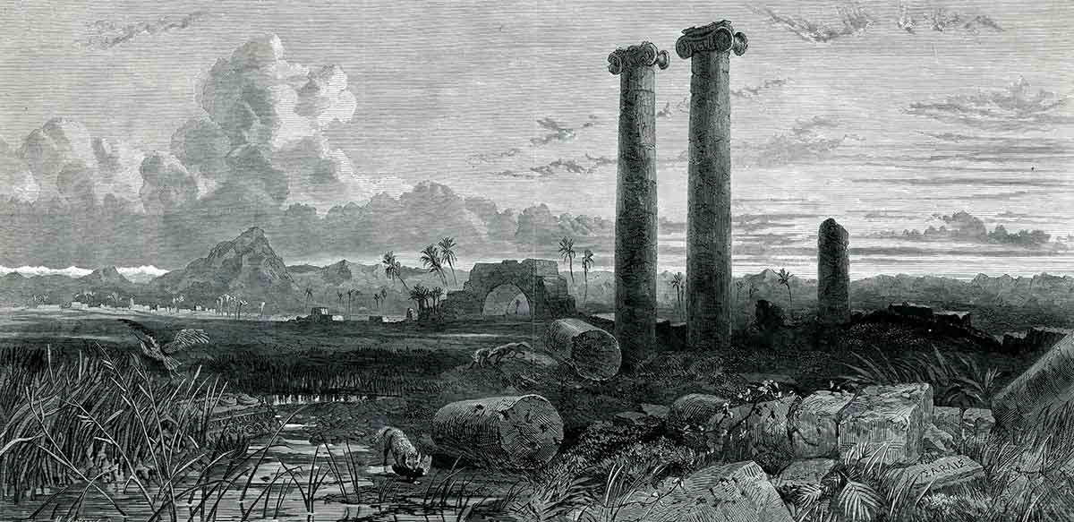 sardis print ruins johnson