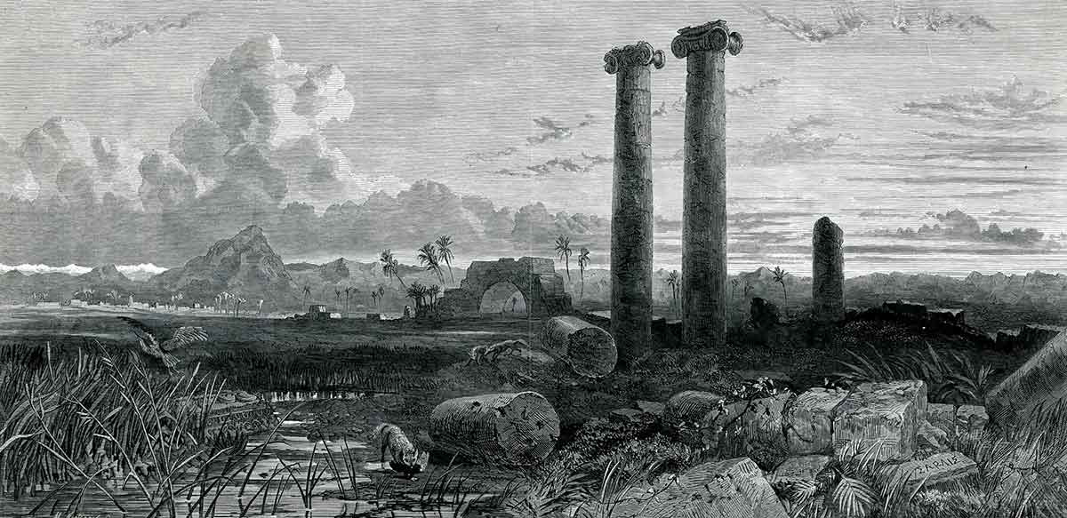 sardis print ruins johnson