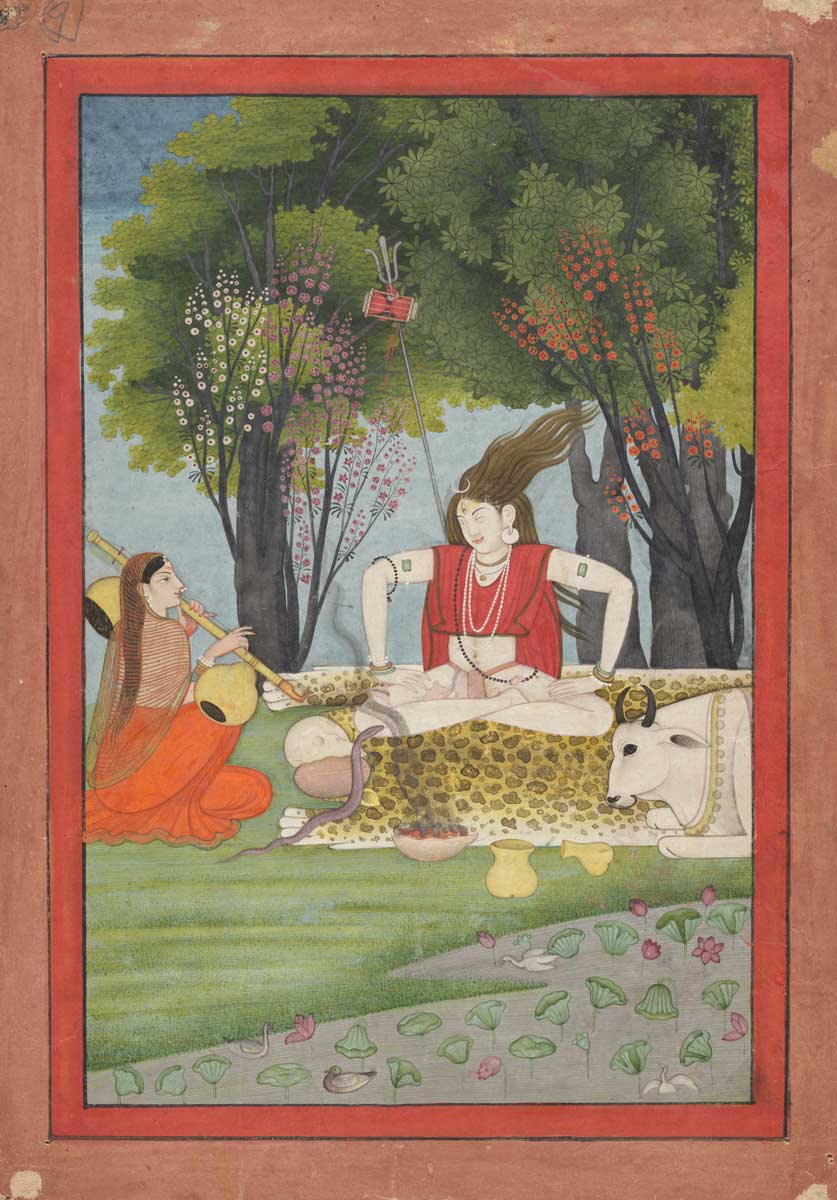 shiva interrupted meditation