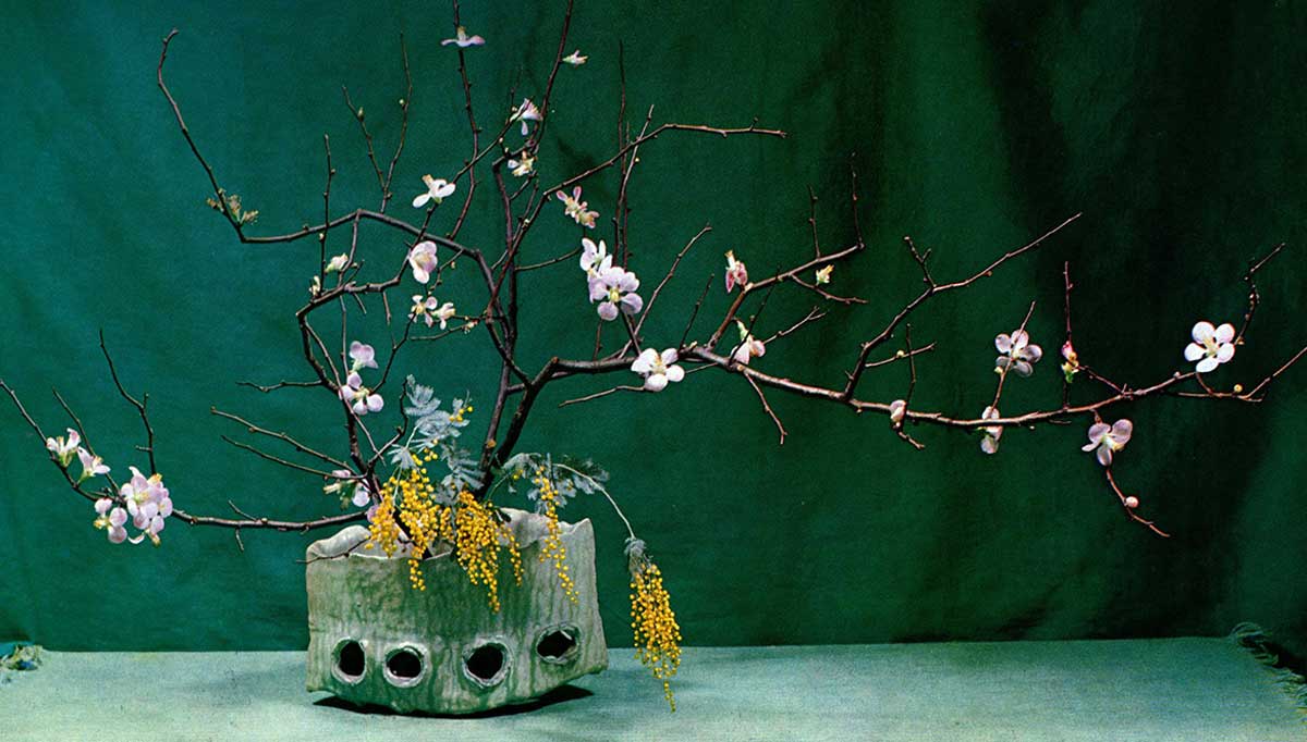shozo ikebana photo