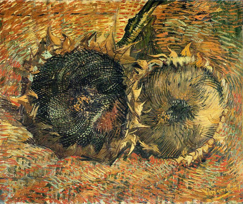 Two Cut Sunflowers, by Vincent van Gogh, 1887. Source: Van Gogh Museum, Amsterdam
