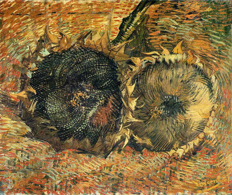 Two Cut Sunflowers, by Vincent van Gogh, 1887. Source: Van Gogh Museum, Amsterdam
