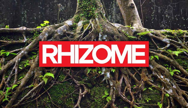 "RHIZOME" atop tangled tree root background