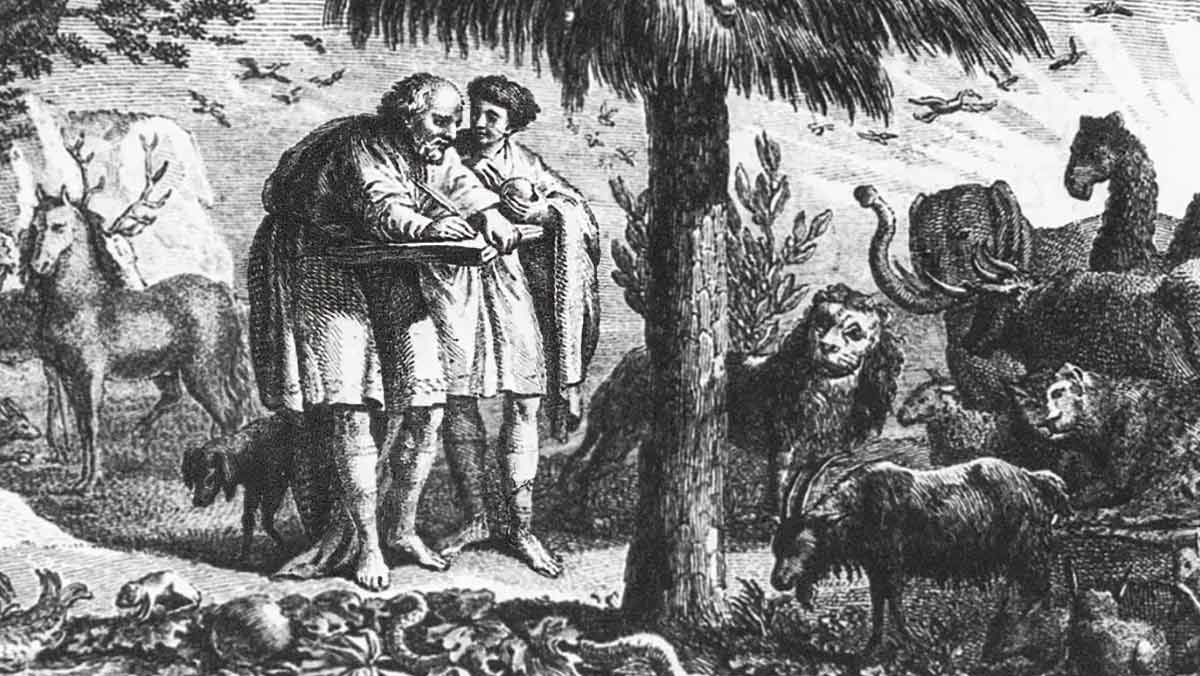 Animals Aristotle