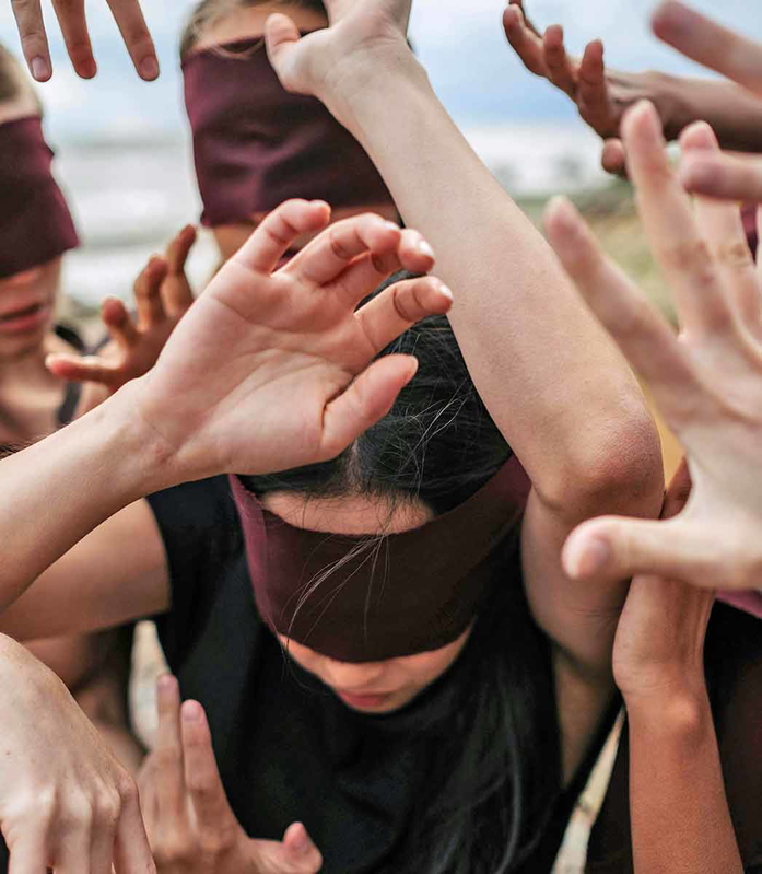 The Blindfold of Stupidity