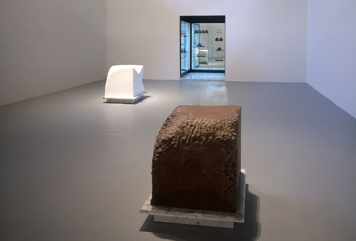 antoni gnaw installation
