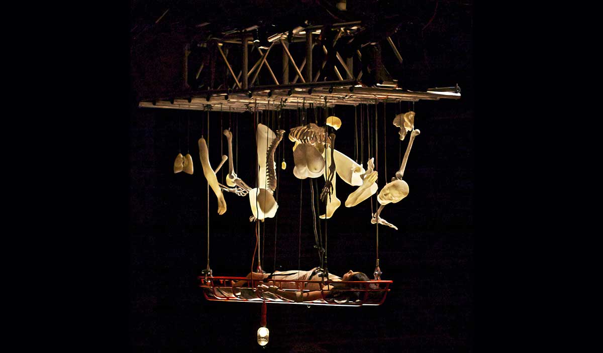 antoni lazarus performance