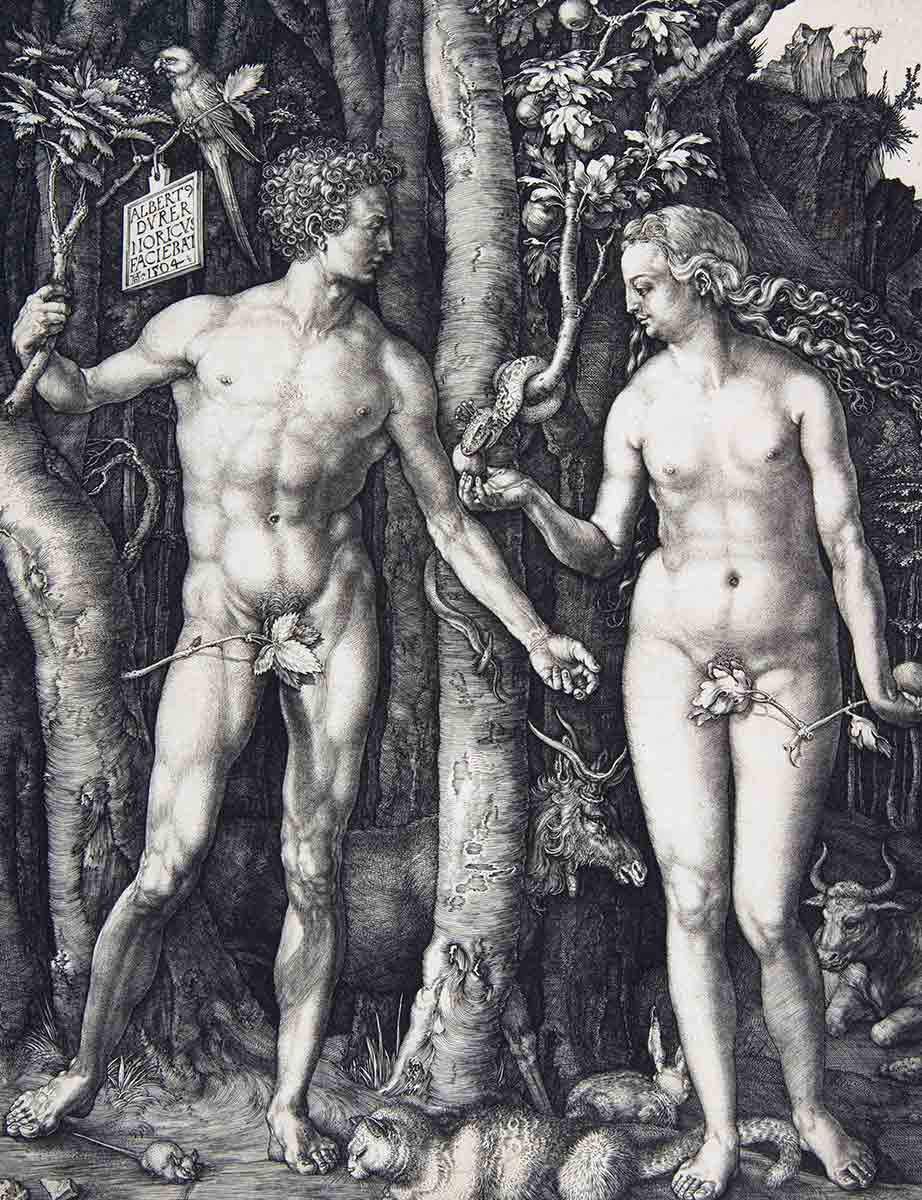 drurer adam and eve