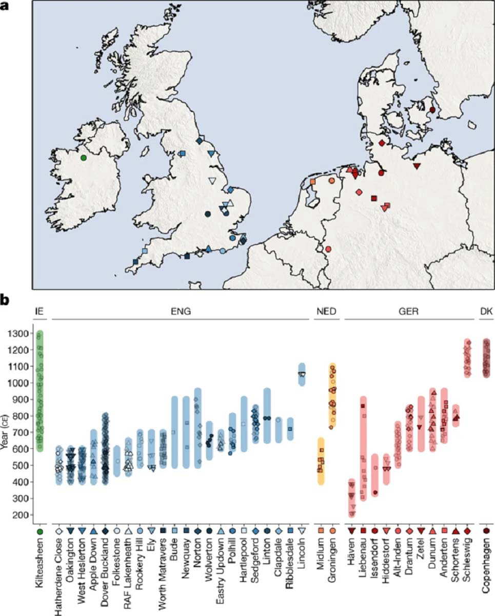 genetic study britain anglo saxons dna