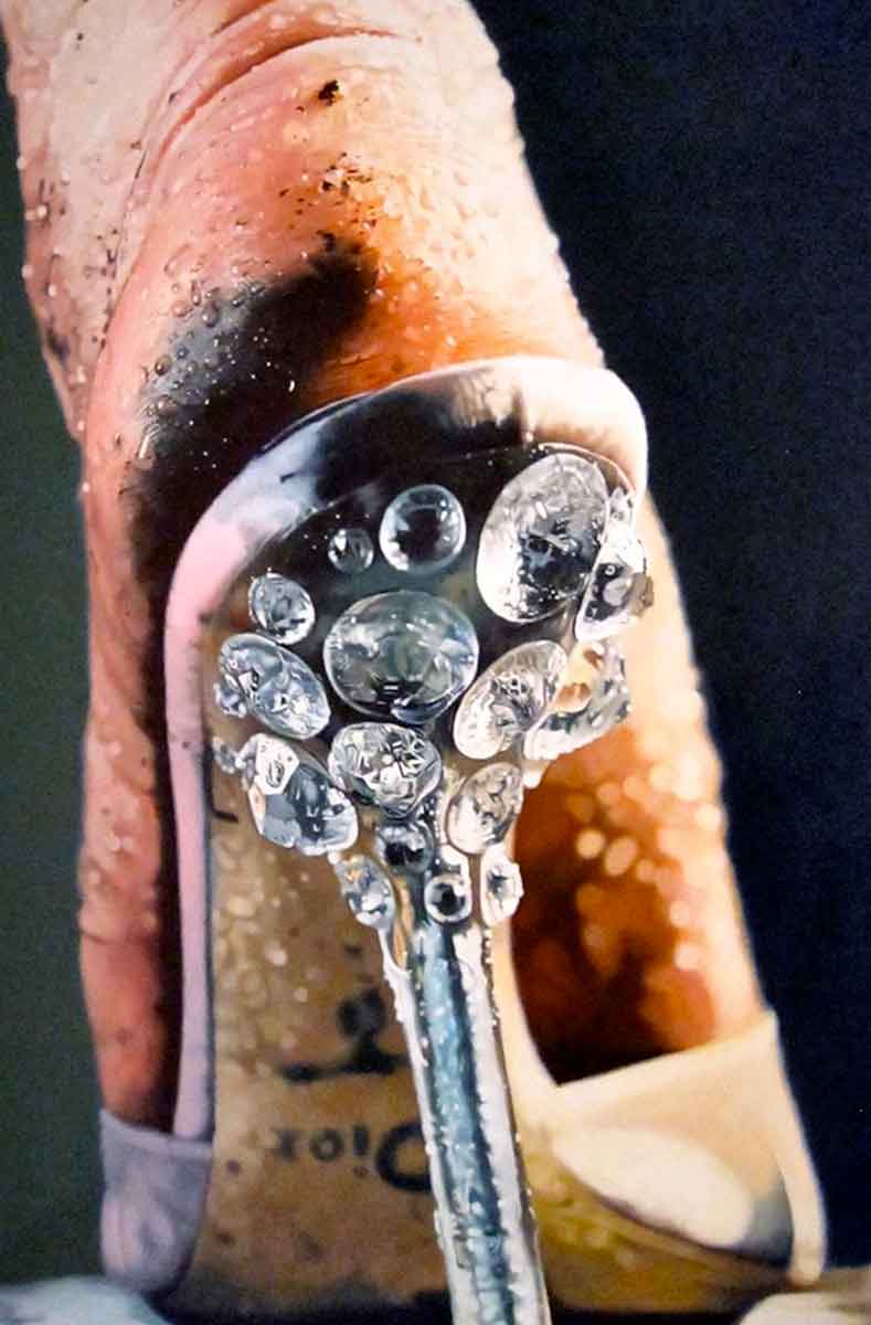 hyperrealism strut marilyn minter 2004