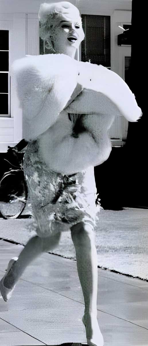 marilyn monroe some like it hot photograph