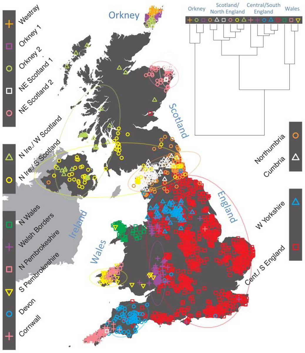 population britain dna genetic study leslie et al