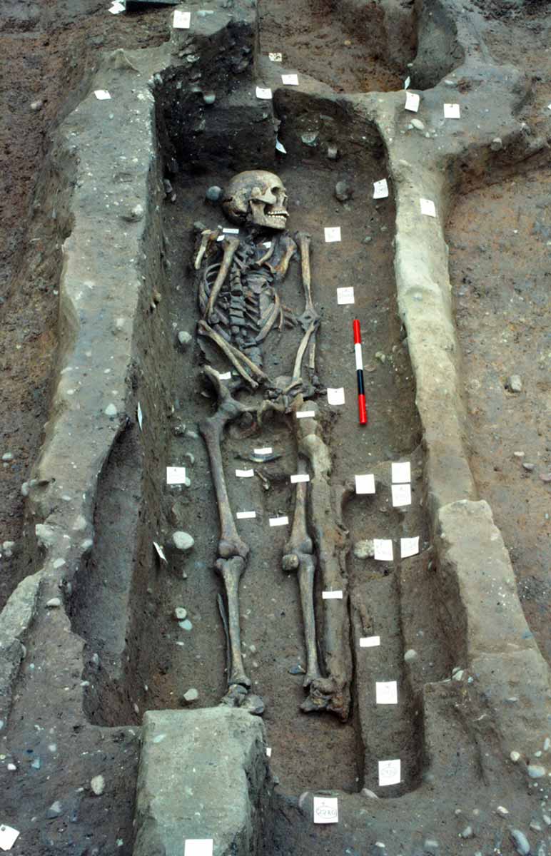vikings repton warrior grave great heathen army