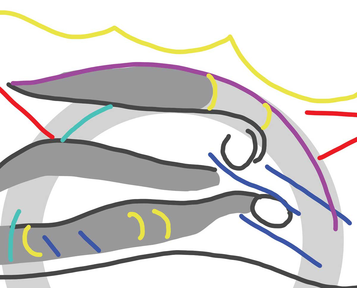 wallwork blake elohim creating adam diagram