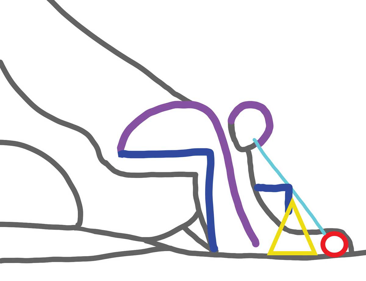 wallwork blake newton diagram