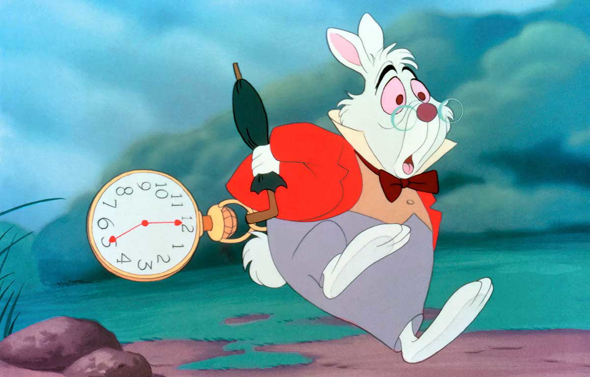 white rabbit alice wonderland