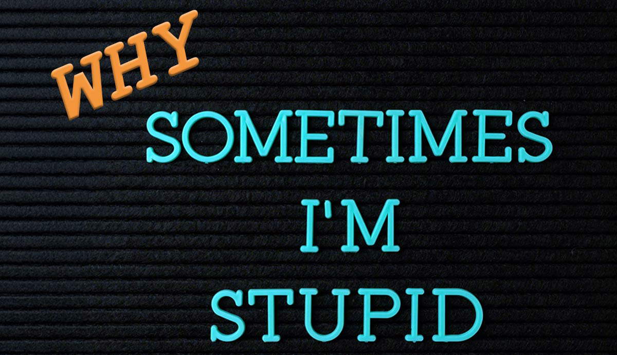 What Is Bonhoeffer’s Theory of Stupidity?
