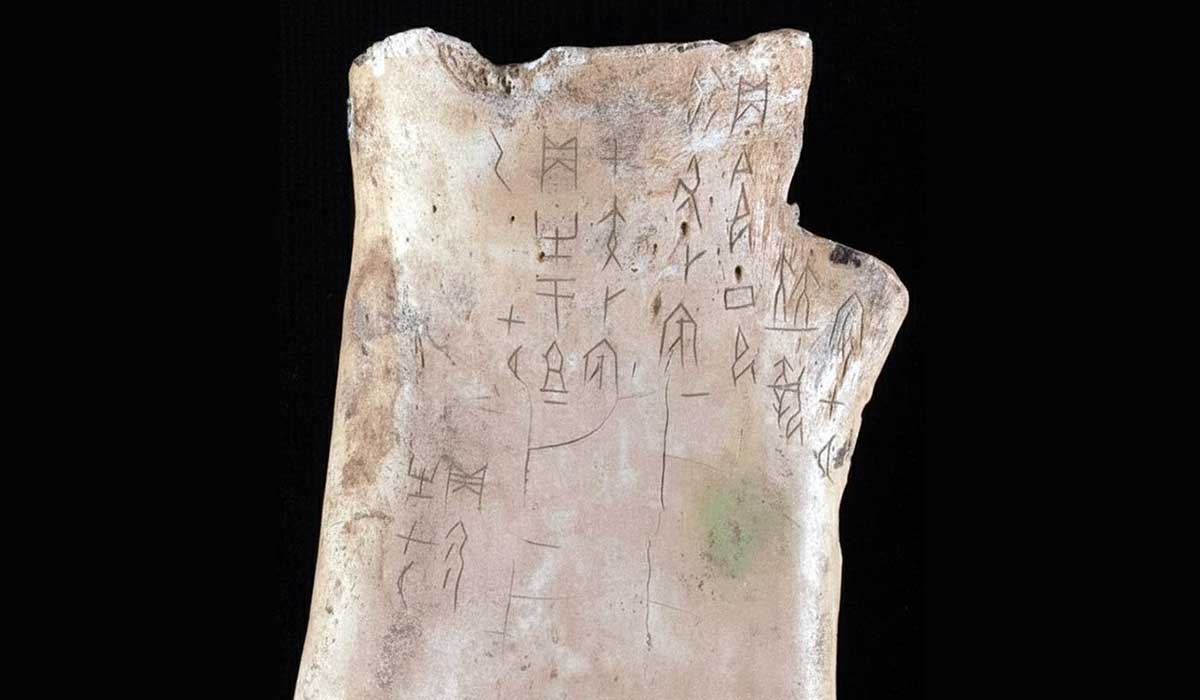 Shang Dynasty Oracle Bone