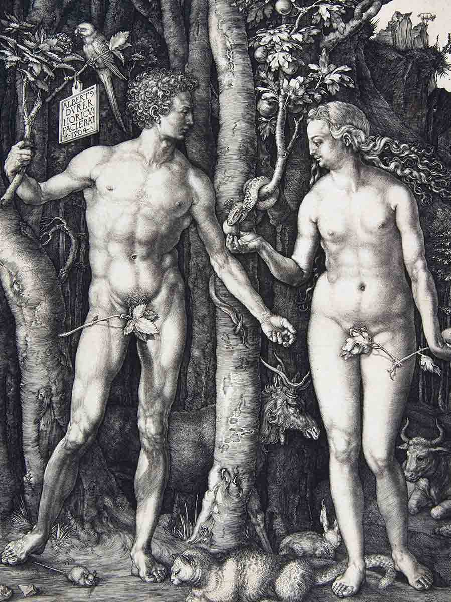 adam and eve durer