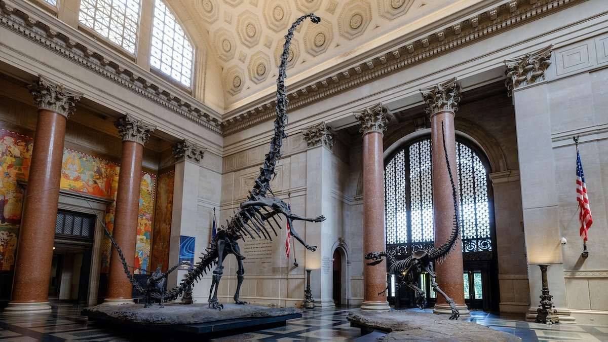 The Theodore Roosevelt Rotunda in the American Museum of Natural History in New York City