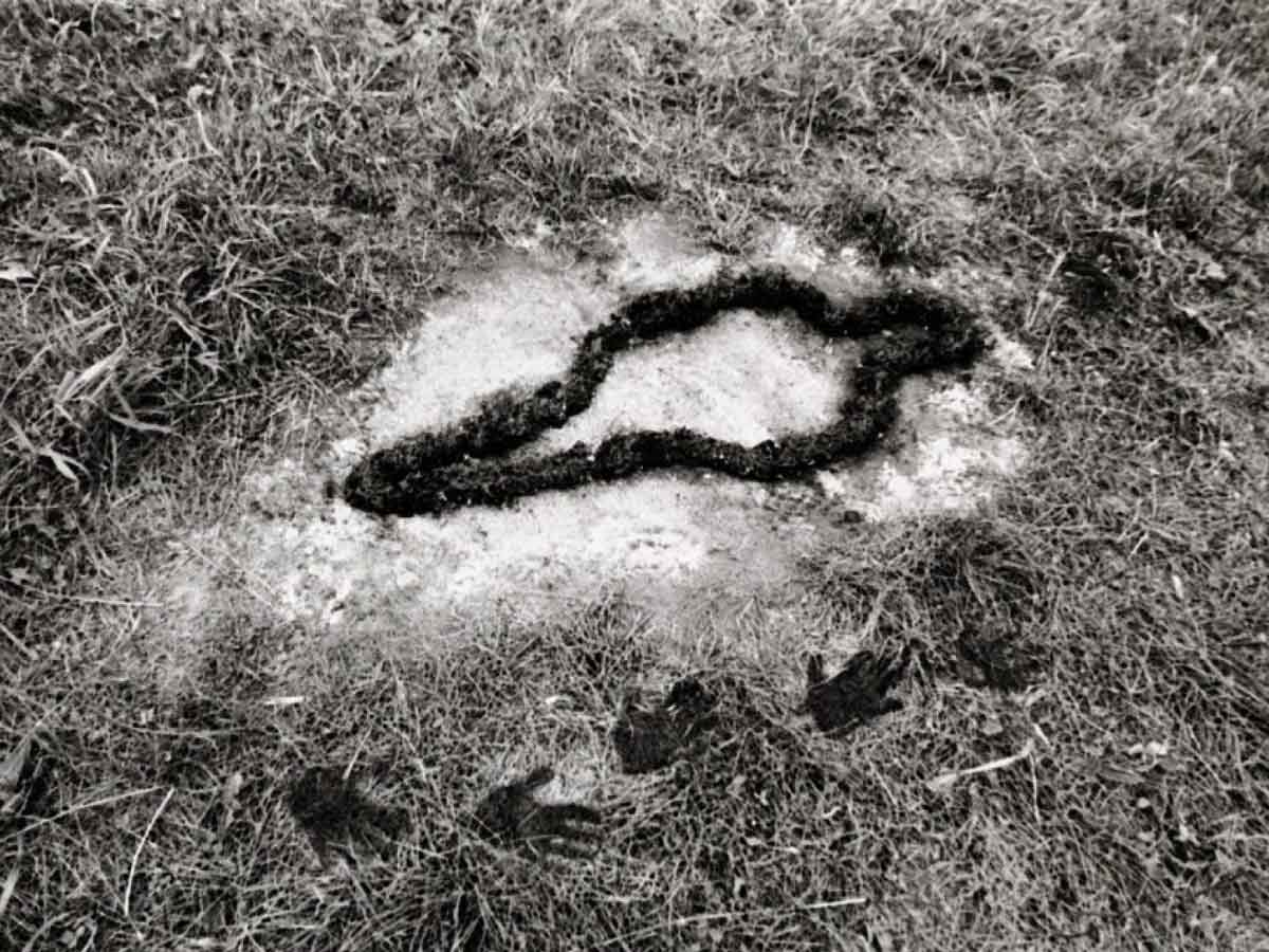 ana mendieta silueta photo