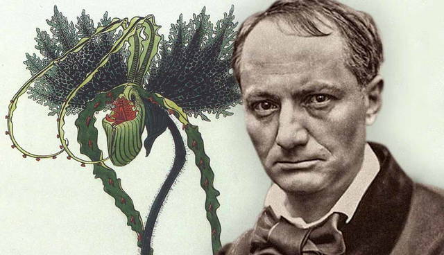 Charles Baudelaire with an Art Nouveau floral illustration