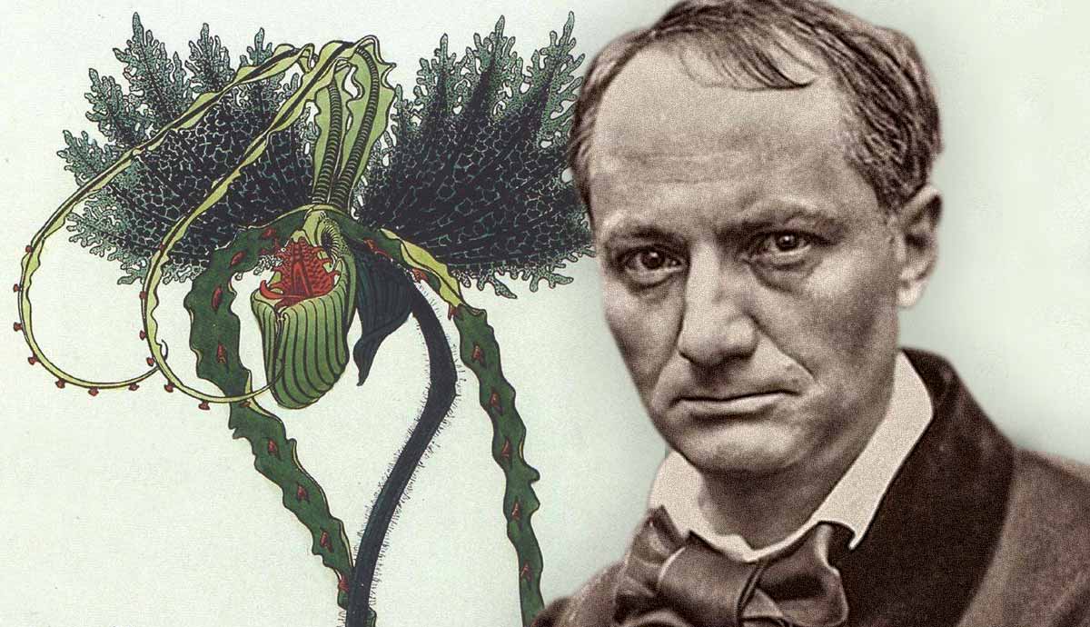 Charles Baudelaire with an Art Nouveau floral illustration