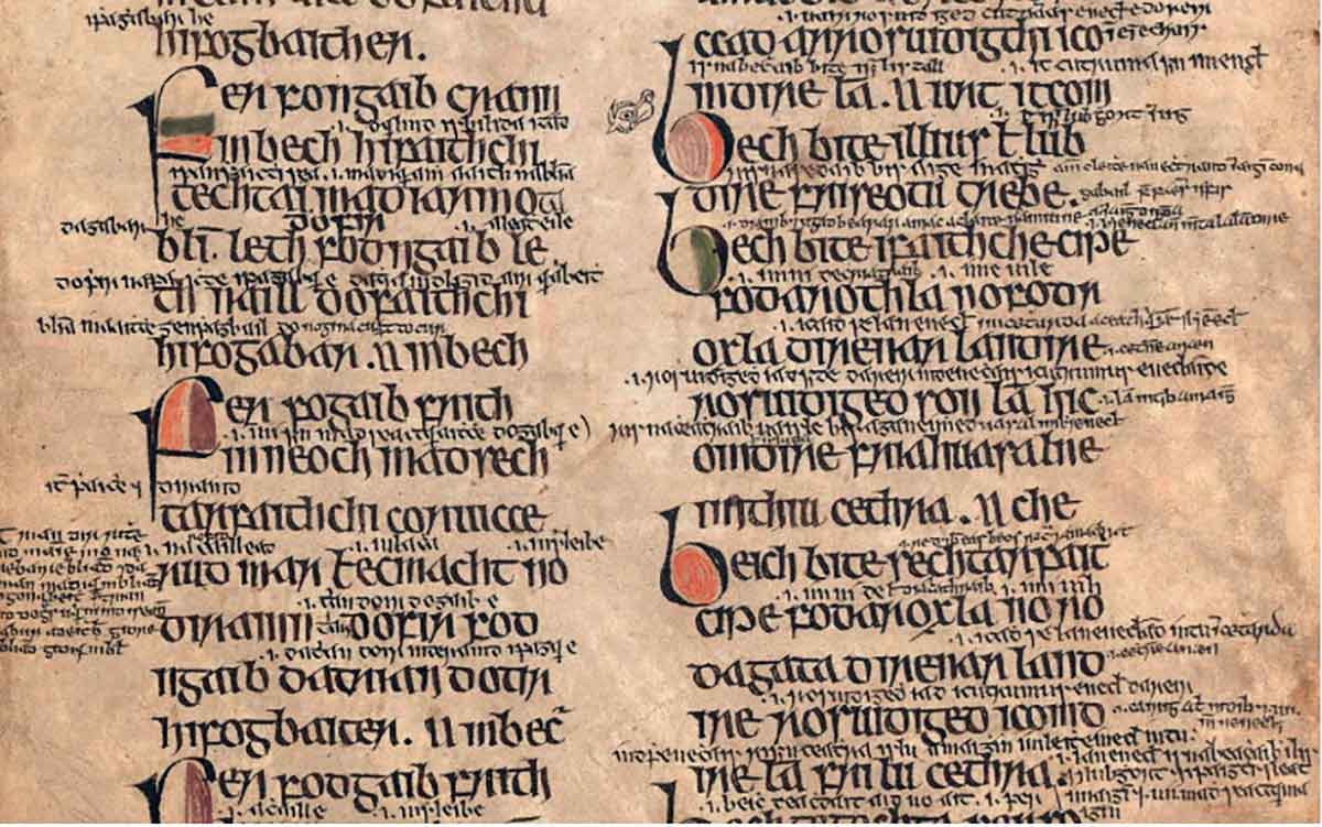 bechbretha beekeeping treatise