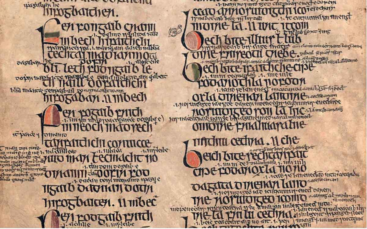 bechbretha beekeeping treatise