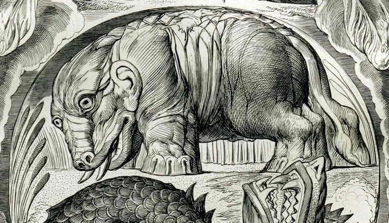 behemoth william blake