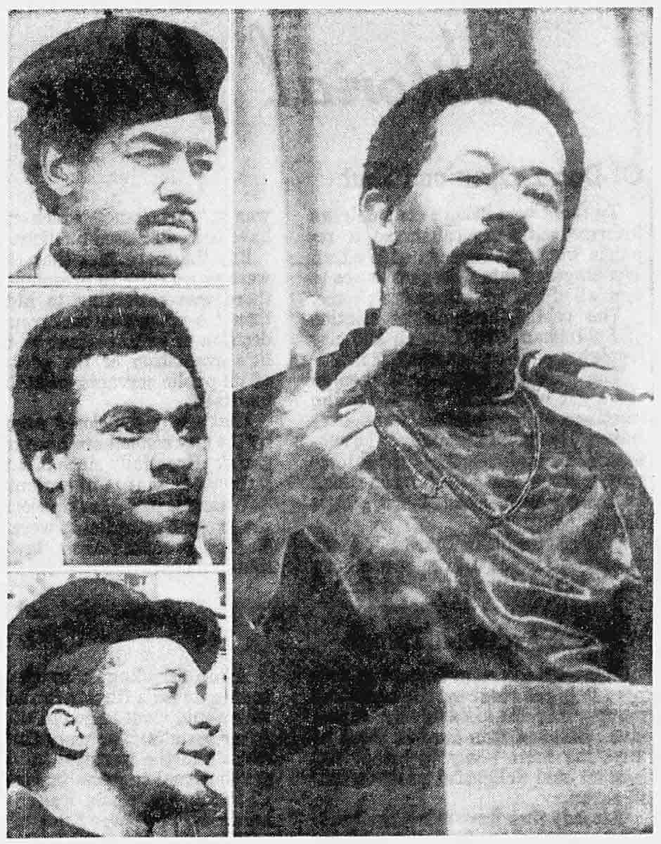 black panthers