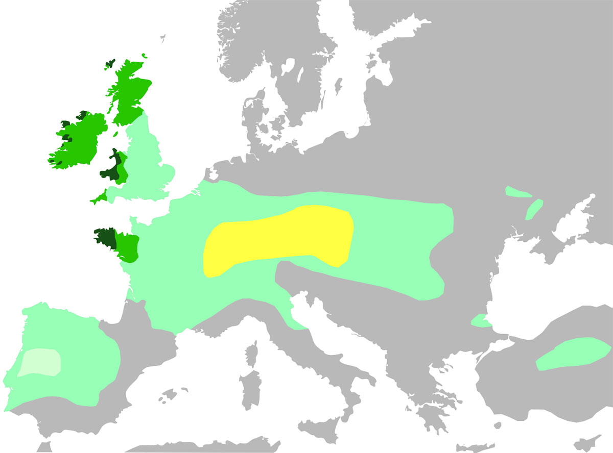 celts in europe map
