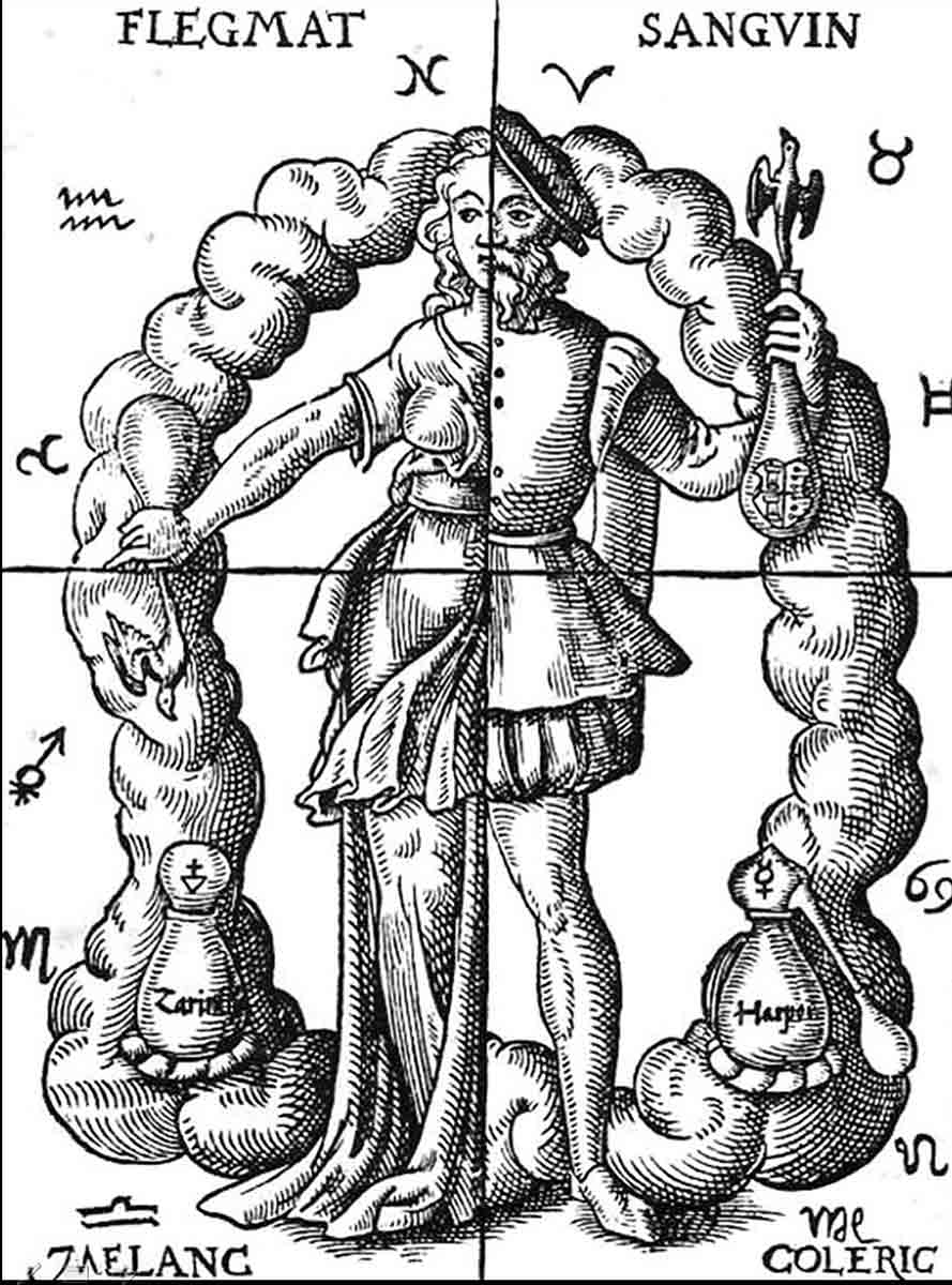 elements humorism print
