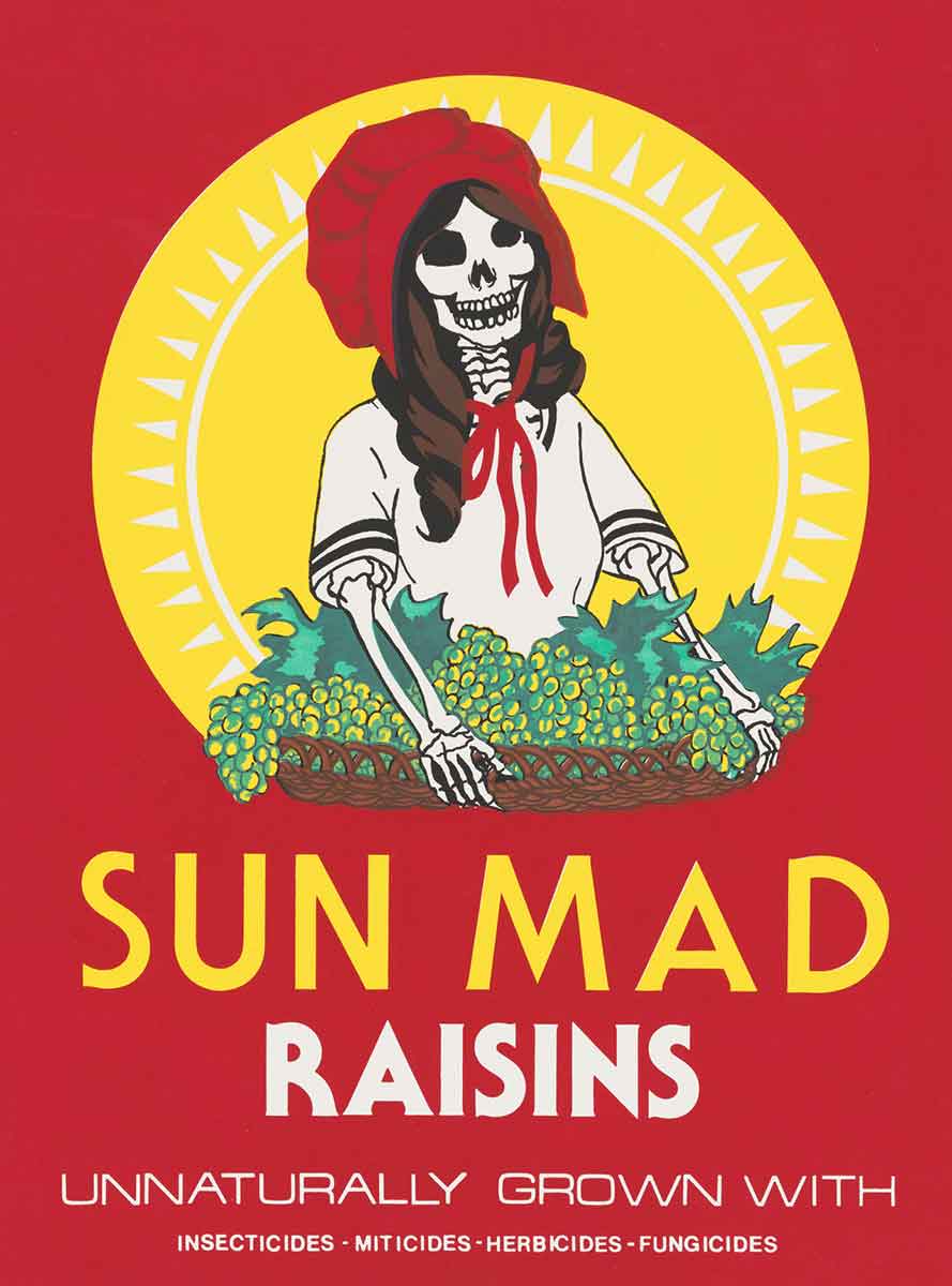 ester sun mad