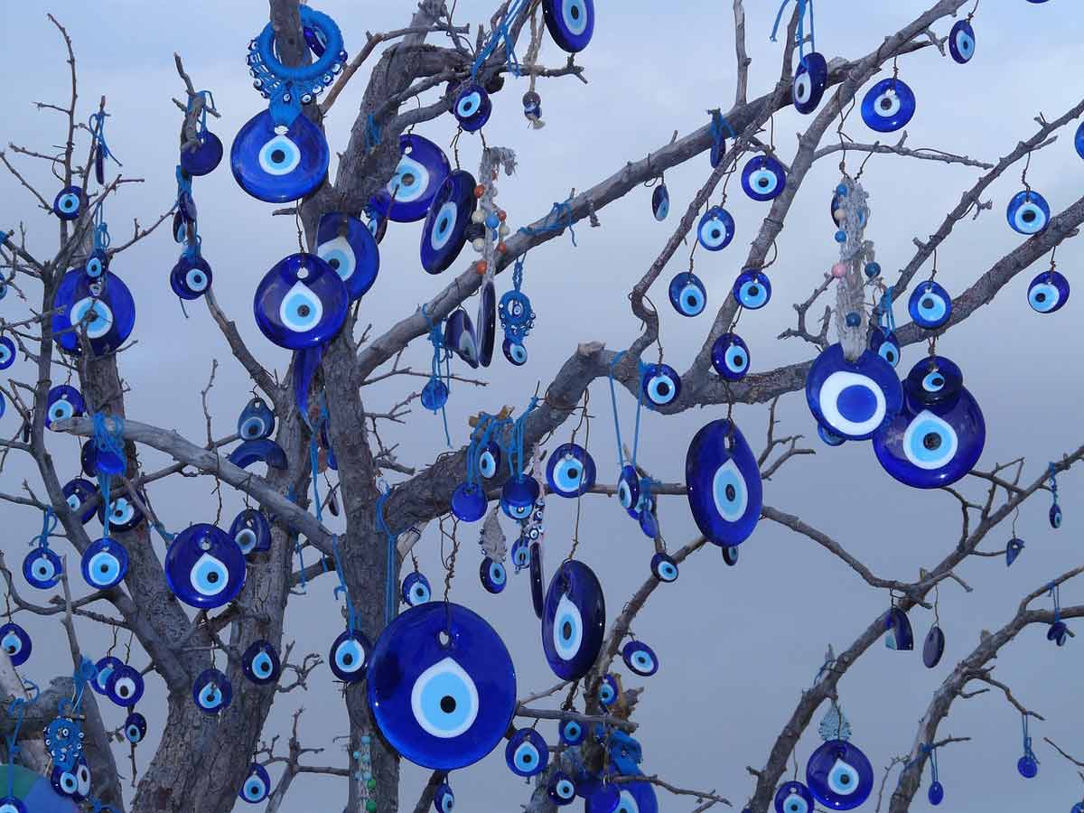 evil eyes in trees photo