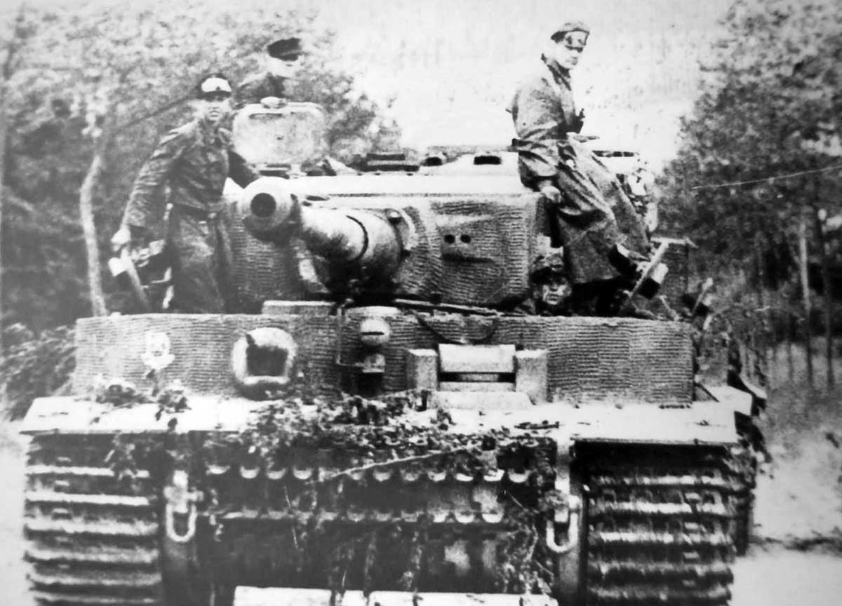 german tiger image