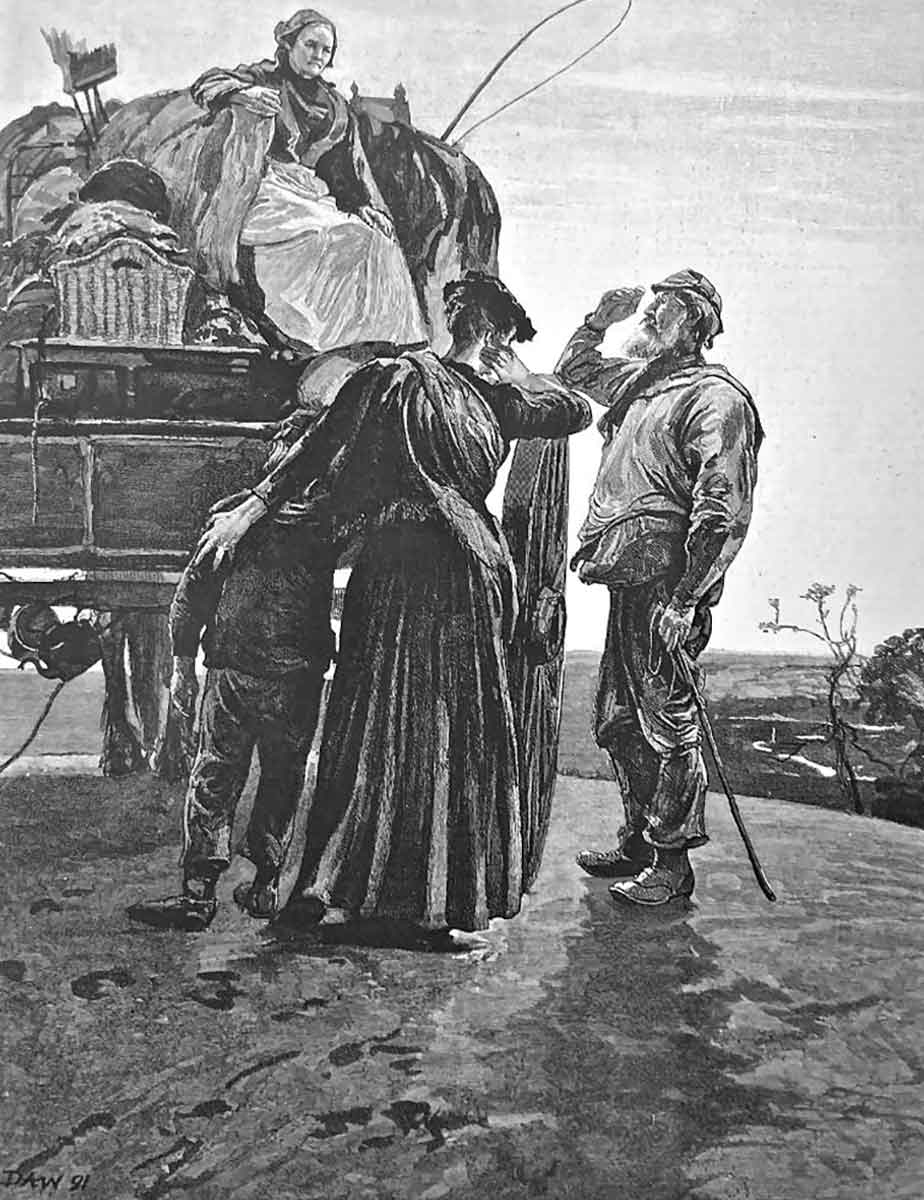 hardy tess durbervilles