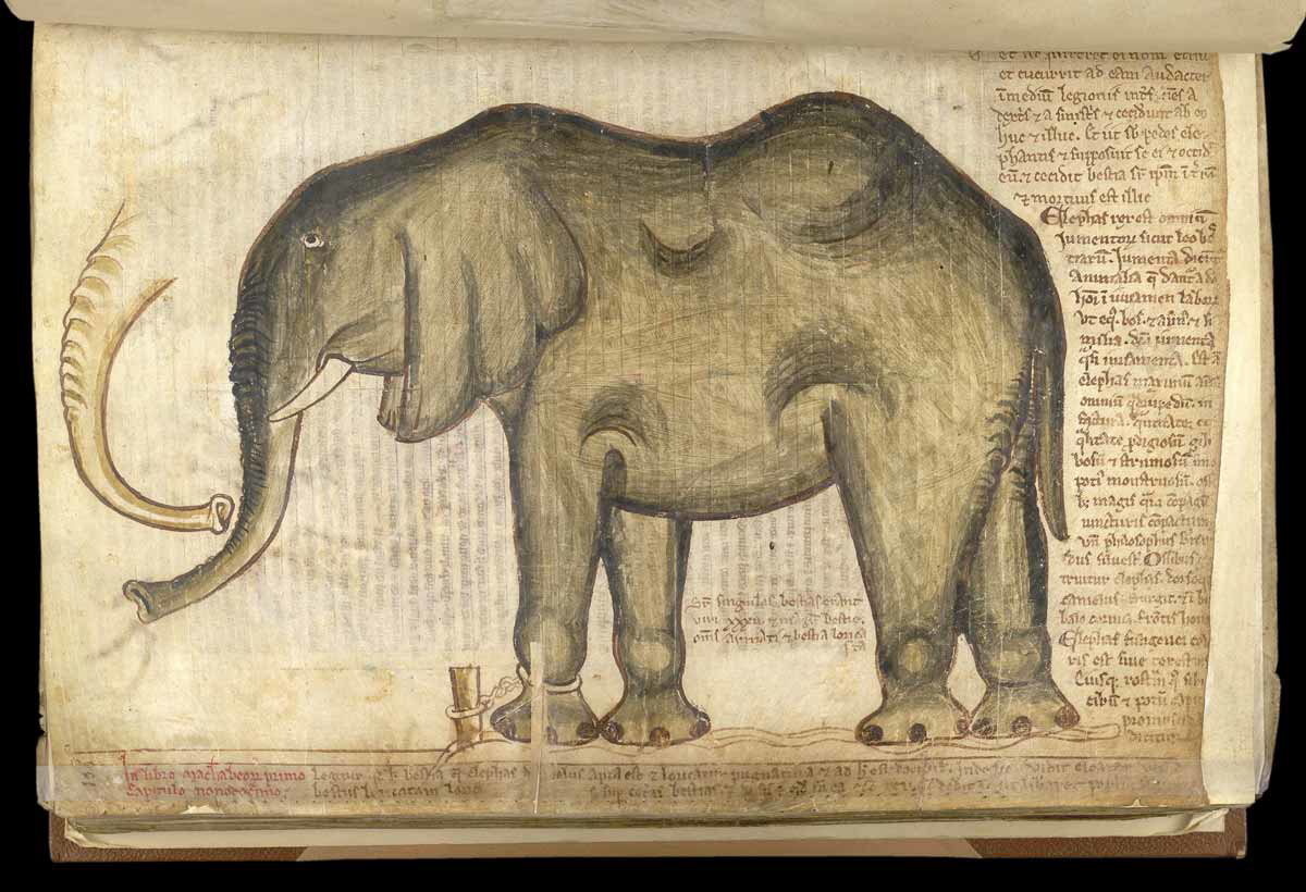 henry iii elephant
