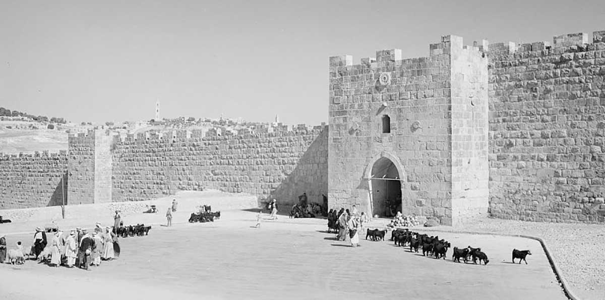 herod gate photograph