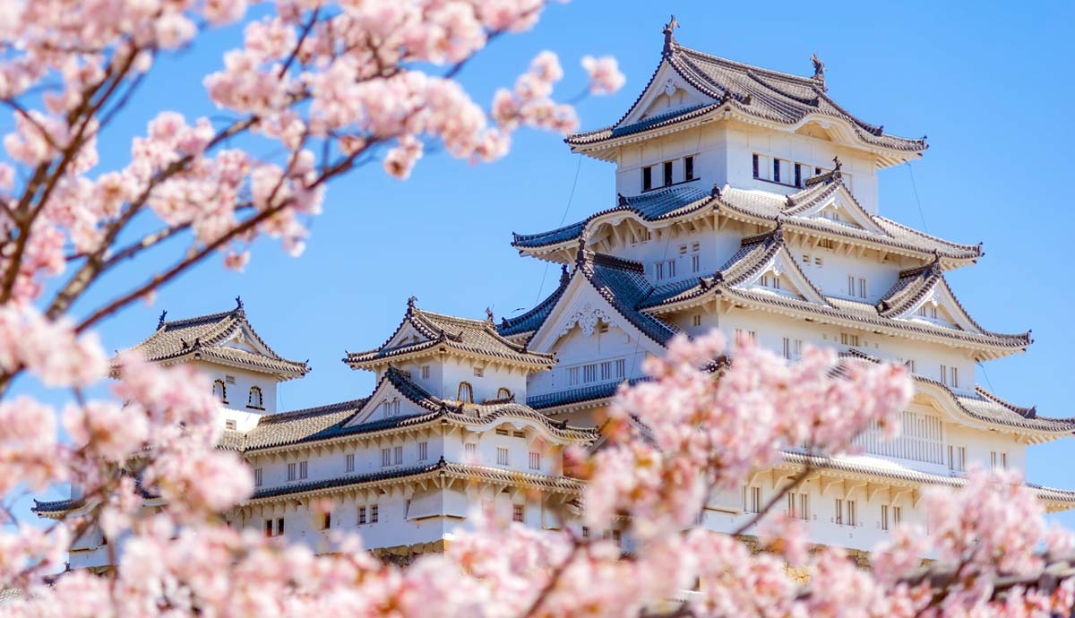 Himeji Castle framed by cherry blossoms