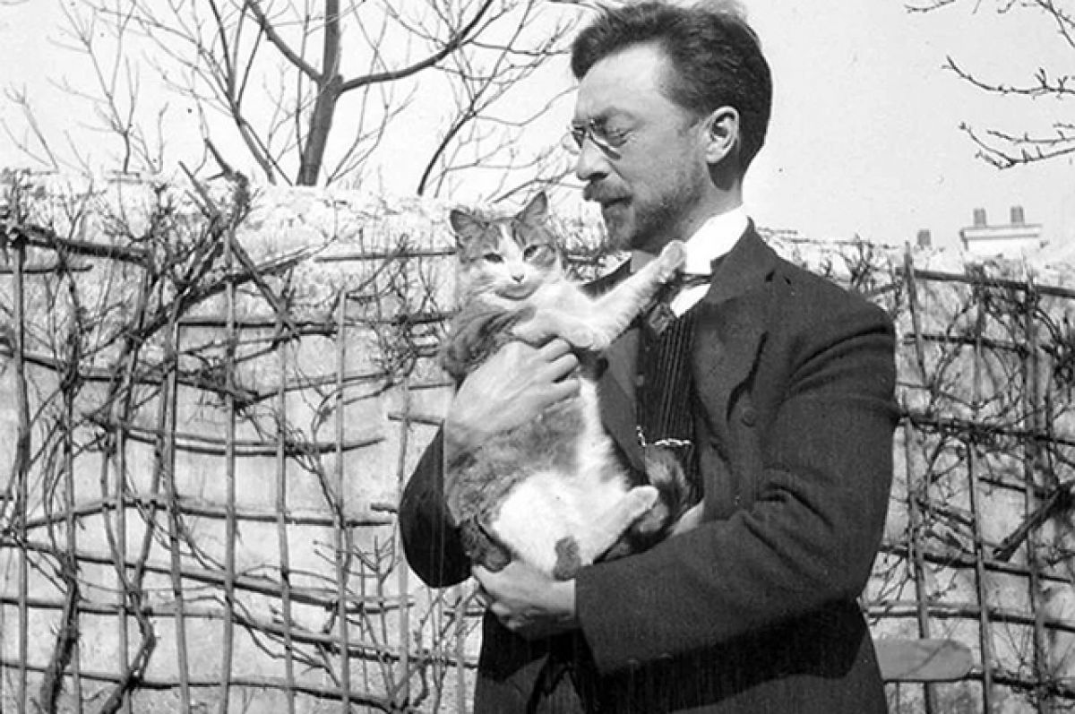 kandinsky cat photo