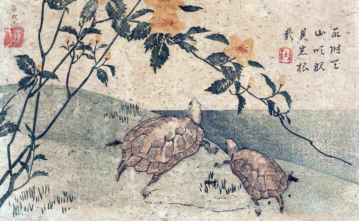 katsushika hokusai two turtles and roses