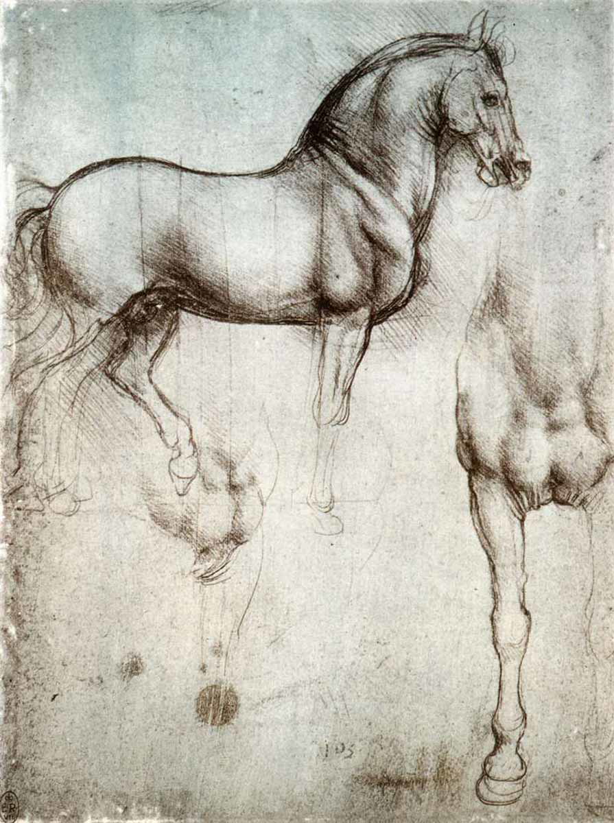 leonardo da vinci horse study